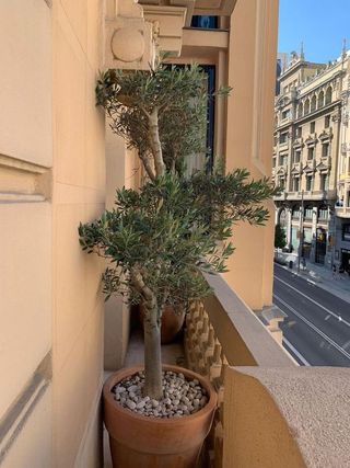 Piso en alquiler en Sol en Madrid