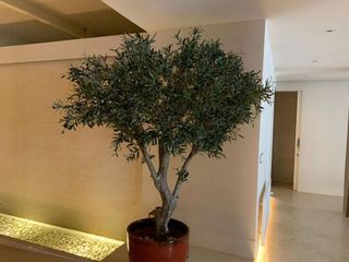 Piso en alquiler en Sol en Madrid