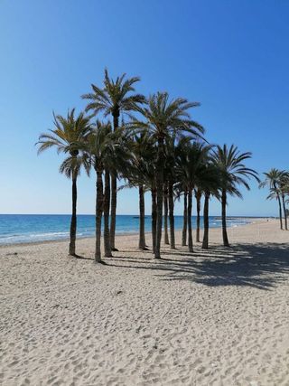Piso en alquiler en Villajoyosa ciudad en Villajoyosa/Vila Joiosa (la)