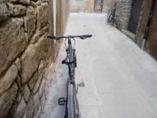 Bicicleta MTB 29er Está semana. 100e