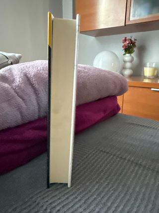 EL SILENCIO DE LA CIUDAD BLANCA