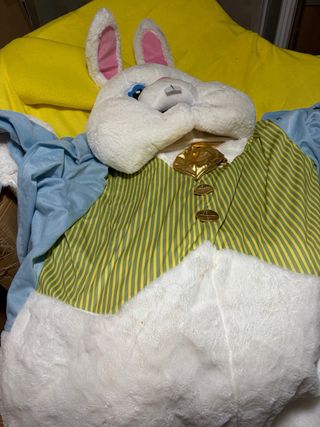 Disfrazes de Disney completos