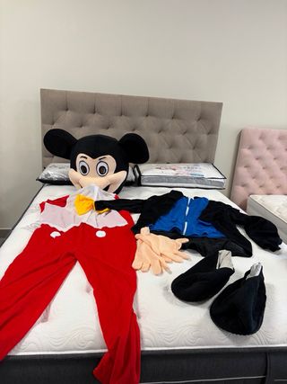 Disfrazes de Disney completos