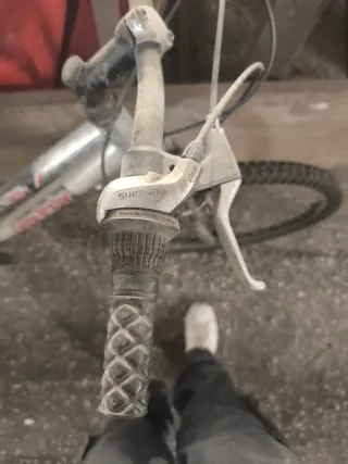 Bicicleta de montaña plateada