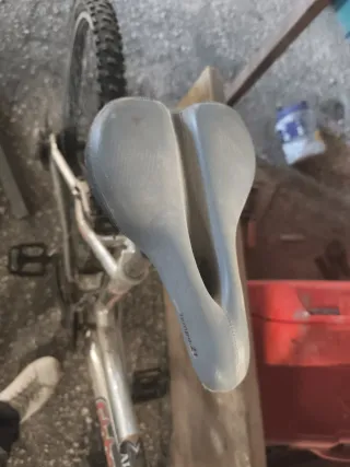 Bicicleta de montaña plateada