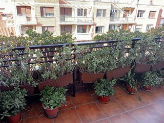 Piso en venta en Centro en Logroño