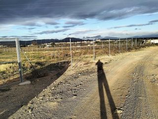 Terreno en alquiler en Guadassuar