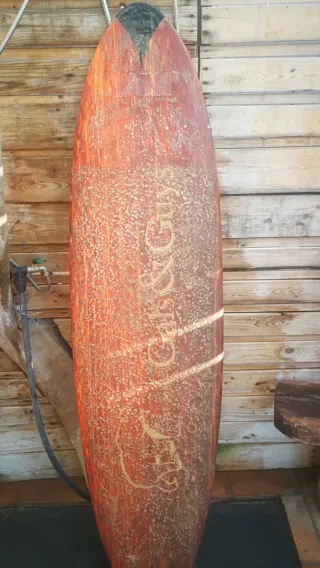 Tabla Single Fin Gals and Guys