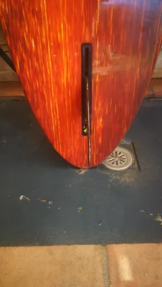 Tabla Single Fin Gals and Guys