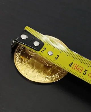 Moneta Caprone Ariete Gold