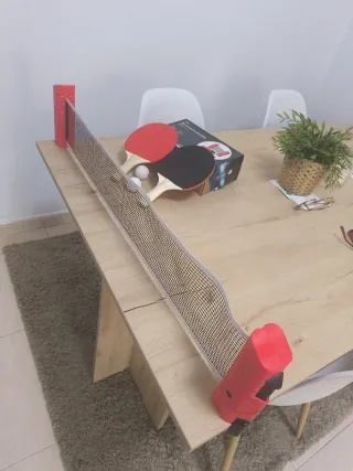 Set Ping Pong Portátil NETPRO