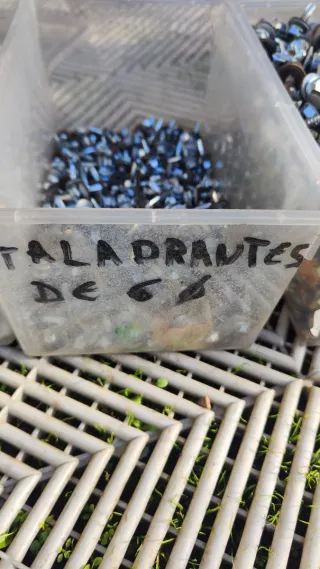 Tornillos autorroscantes varios tamaños