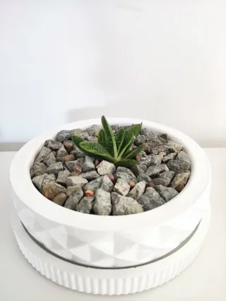 Vaso di cemento decorativo