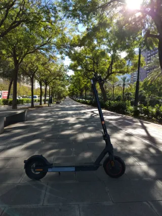Patinete Eléctrico Xiaomi Pro2