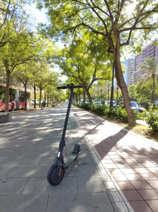 Patinete Eléctrico Xiaomi Pro2