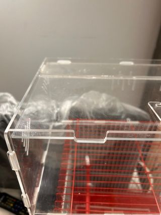 Caja alimentación reptiles/tortugas PEVSCO