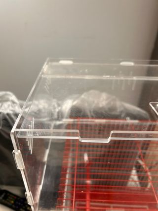 Caja alimentación reptiles/tortugas PEVSCO