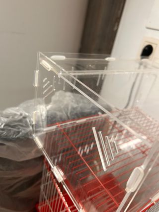 Caja alimentación reptiles/tortugas PEVSCO