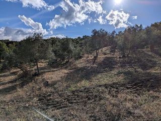 Terreno en venta en Valencia de Alcántara