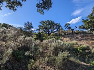 Terreno en venta en Valencia de Alcántara