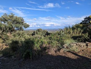 Terreno en venta en Valencia de Alcántara