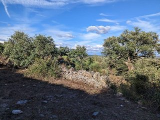 Terreno en venta en Valencia de Alcántara