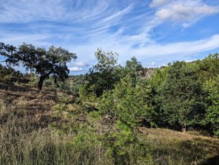 Terreno en venta en Valencia de Alcántara