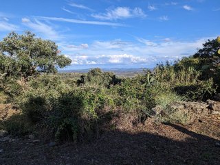 Terreno en venta en Valencia de Alcántara