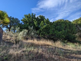 Terreno en venta en Valencia de Alcántara