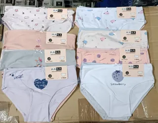 Braguitas niña HANA 6 bragas 5€