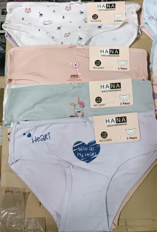 Braguitas niña HANA 6 bragas 5€