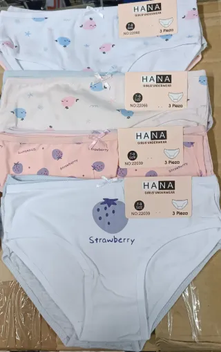 Braguitas niña HANA 6 bragas 5€