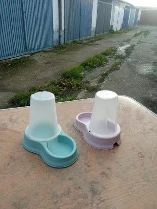 Arenero para gato y 2 bebederos