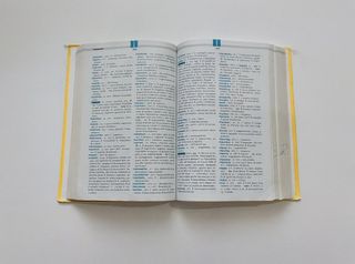 Primo dizionario di latino. Con schede grammati...