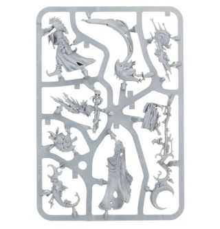 Age of Sigmar Skragrott Loonking