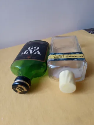 Lotto 2 Bottiglie da Collezione: Vat 69 e Hormo Biol