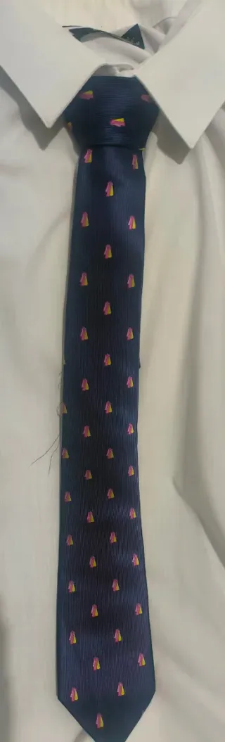 Corbata azul con bordado de Capotes.