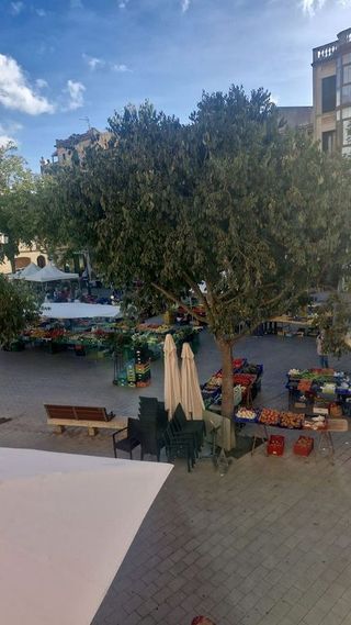 Local comercial en venta en Llucmajor Interior en Llucmajor