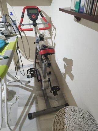 Bicicleta Estática Profesional. Bien cuidada.