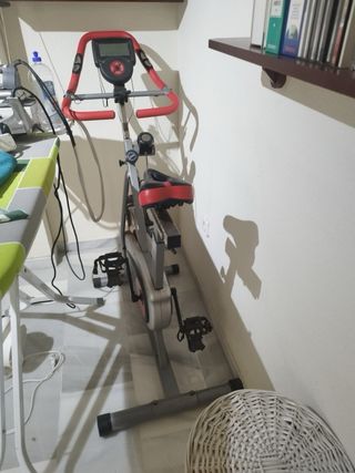 Bicicleta Estática Profesional. Bien cuidada.