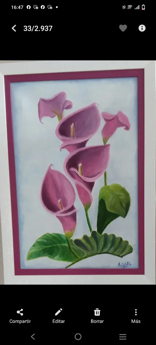 Cuadro al óleo de calas rosas