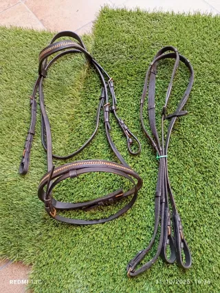 Cabezada de caballo con cadena dorada