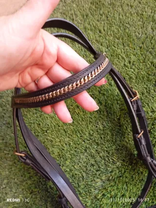 Cabezada de caballo con cadena dorada