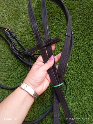 Cabezada de caballo con cadena dorada