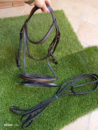 Cabezada de caballo con cadena dorada