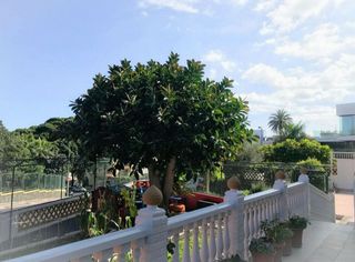 Chalet en alquiler en Ciudad Jardín en Palmas de Gran Canaria(Las)