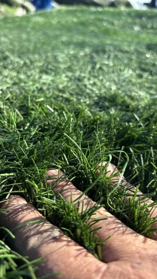 Césped artificial reciclado campos fútbol