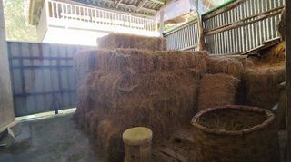 Casa rural en venta en Pravia