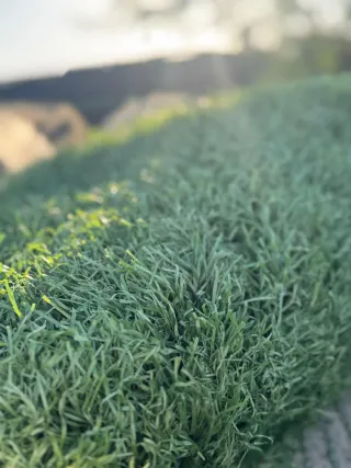 Césped artificial reciclado de campos de fútbol