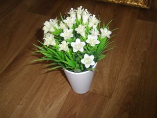 Fujifilm FinePix Z70 Cámara digital de 12 MP